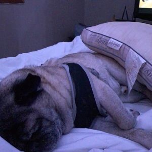 Meet your Posher, Marlene